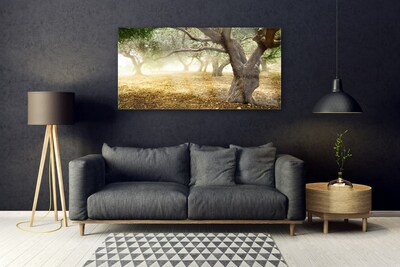 Obraz na skle Strom Tráva Příroda