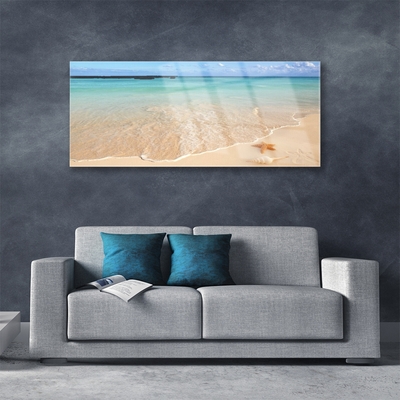 Obraz na skle Pláž Hvězdice Krajina
