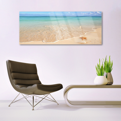 Obraz na skle Pláž Hvězdice Krajina