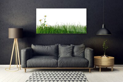 Obraz na skle Plevel Příroda Rostlina