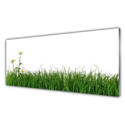 Obraz na skle Plevel Příroda Rostlina