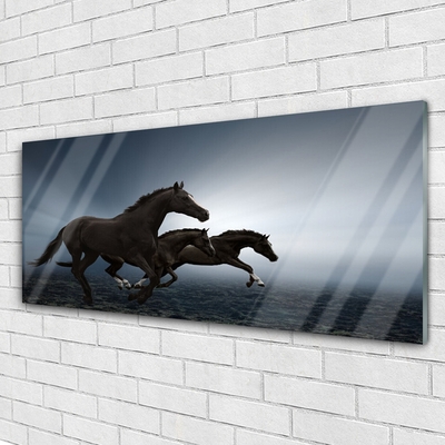 Obraz na skle Koně Zvířata