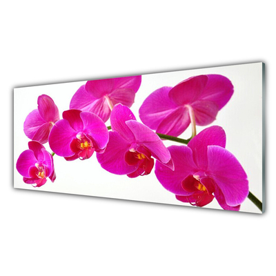 Obraz na skle Květiny Rostlina