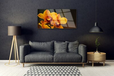 Obraz na skle Květiny Rostlina