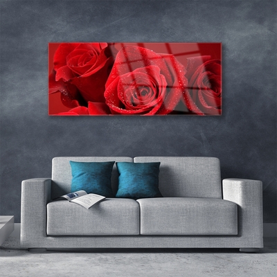 Obraz na skle Růže Květiny