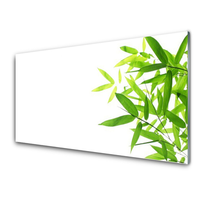 Obraz na skle Listy Příroda Rostlina