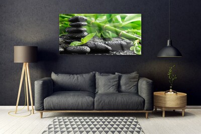 Obraz na skle Bambus Kameny Rostlina