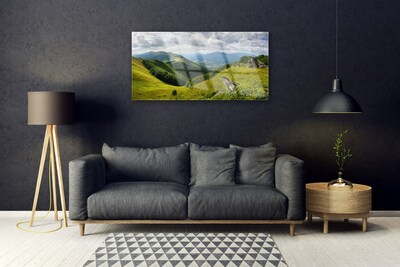 Obraz na skle Hora Louka Krajina