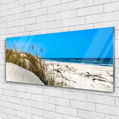 Obraz na skle Pláž Krajina