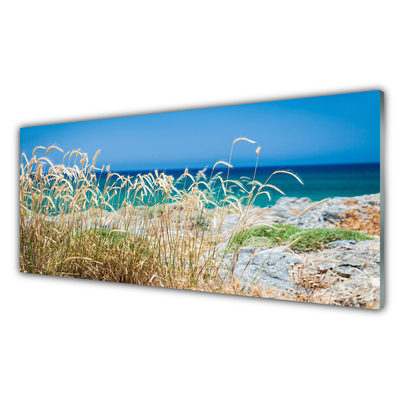 Obraz na skle Pláž Krajina