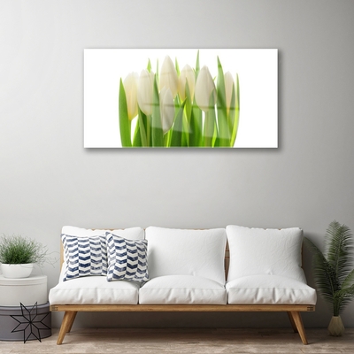 Obraz na skle Tulipány Rostlina Příroda