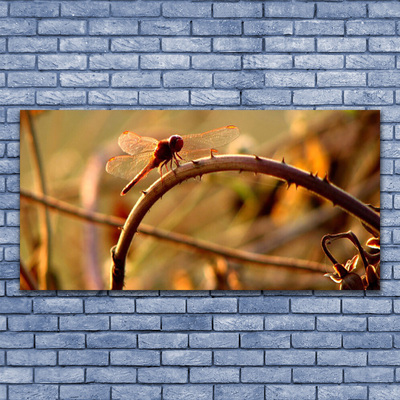Obraz na skle Vážka Příroda Rostlina