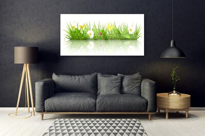 Obraz na skle Tráva Příroda Rostlina