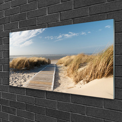 Obraz na skle Pláž Stezka Krajina