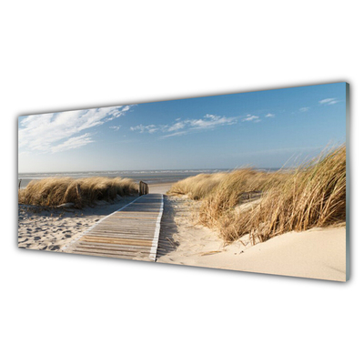 Obraz na skle Pláž Stezka Krajina