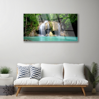 Obraz na skle Vodopád Strom Příroda