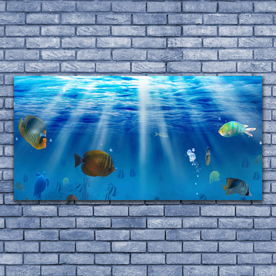 Obraz na skle Ryba Příroda