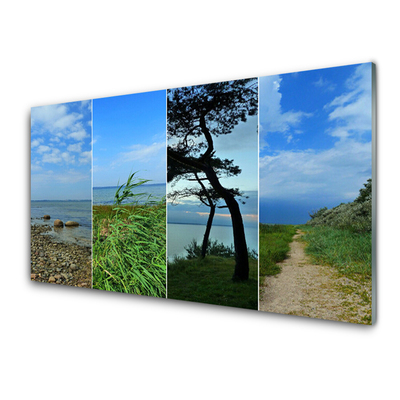 Obraz na skle Pláž Strom Krajina