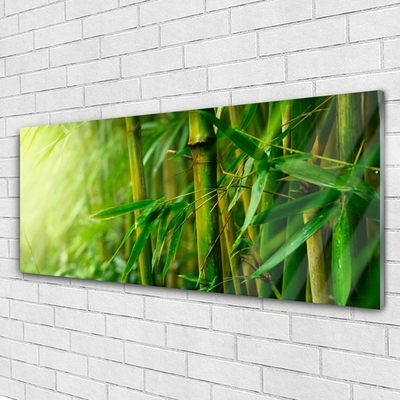 Obraz na skle Bambus Stonky Rostlina
