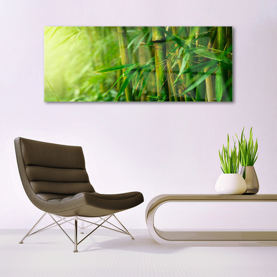 Obraz na skle Bambus Stonky Rostlina