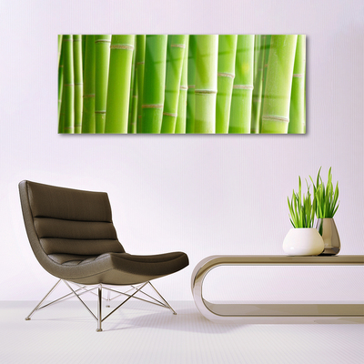 Obraz na skle Bambus Stonek Květ Rostlina