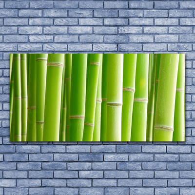 Obraz na skle Bambus Stonek Květ Rostlina