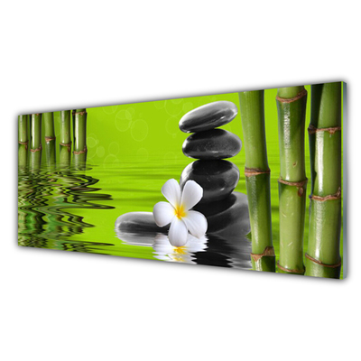 Obraz na skle Bambus Kameny Rostlina