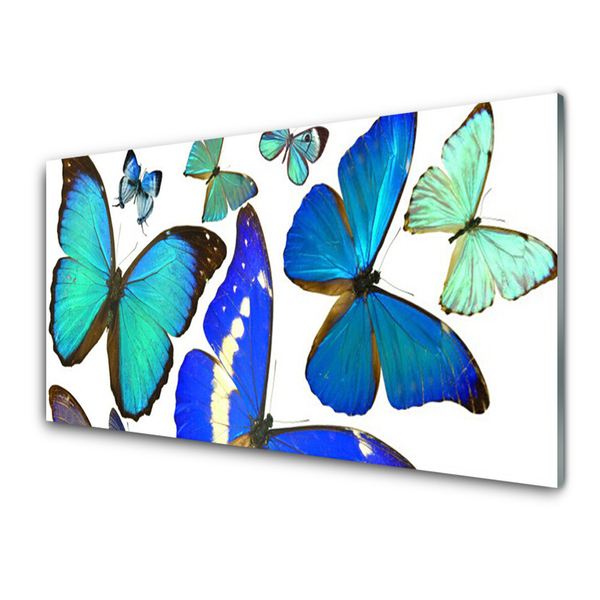 Obraz na skle Motýli Příroda