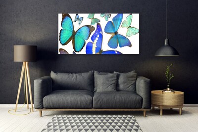 Obraz na skle Motýli Příroda