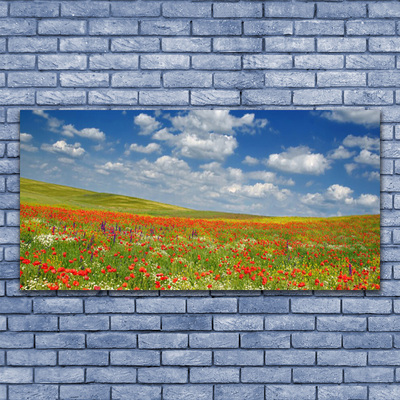 Obraz na skle Louka Květiny Krajina