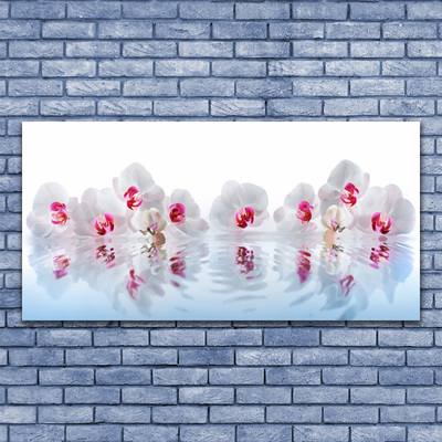 Obraz na skle Květiny Rostlina Příroda Umění