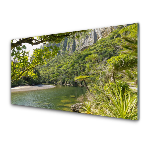 Obraz na skle Jezero Příroda
