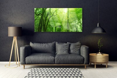 Obraz na skle Stromy Příroda