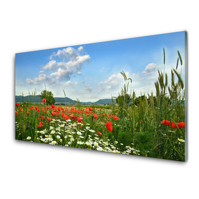 Obraz na skle Louka Květiny Příroda