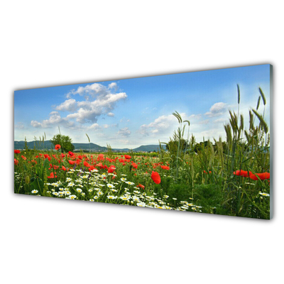 Obraz na skle Louka Květiny Příroda