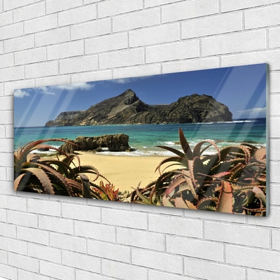 Obraz na skle Pláž Moře Skála Krajina