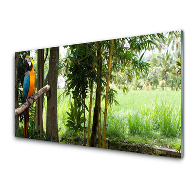 Obraz na skle Papoušek Stromy Příroda