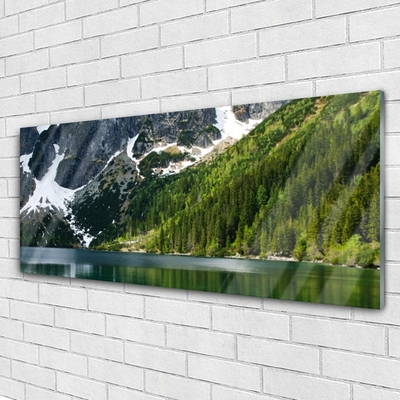 Obraz na skle Jezero Les Hory Krajina