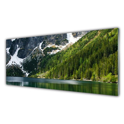 Obraz na skle Jezero Les Hory Krajina