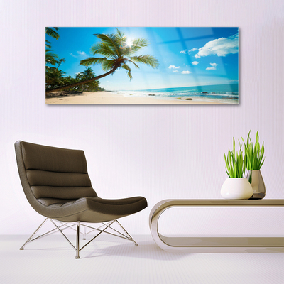 Obraz na skle Palma Strom Pláž Krajina