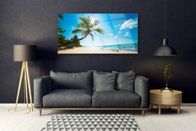Obraz na skle Palma Strom Pláž Krajina