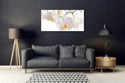 Obraz na skle Květiny Rostlina Příroda