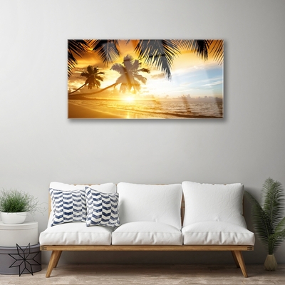 Obraz na skle Pláž Palma Moře Krajina