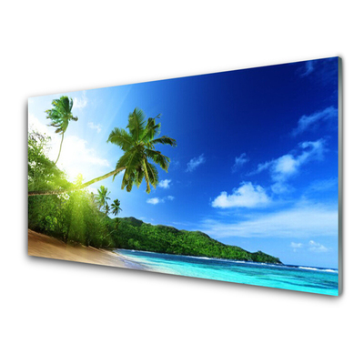 Obraz na skle Pláž Moře Palma Krajina