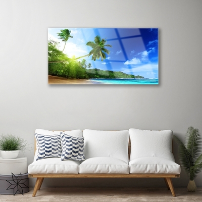 Obraz na skle Pláž Moře Palma Krajina