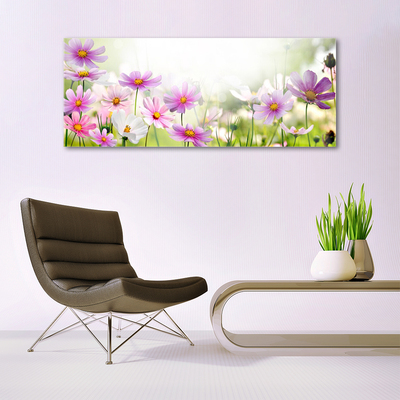 Obraz na skle Květiny Rostlina Příroda