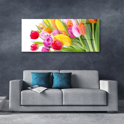 Obraz na skle Tulipány Květiny Rostlina