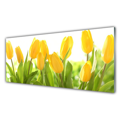 Obraz na skle Tulipány Květiny Rostlina