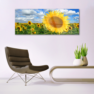 Obraz na skle Slunečnice Květ Rostlina