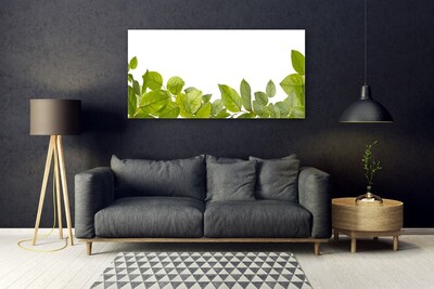 Obraz na skle Listy Příroda Rostlina